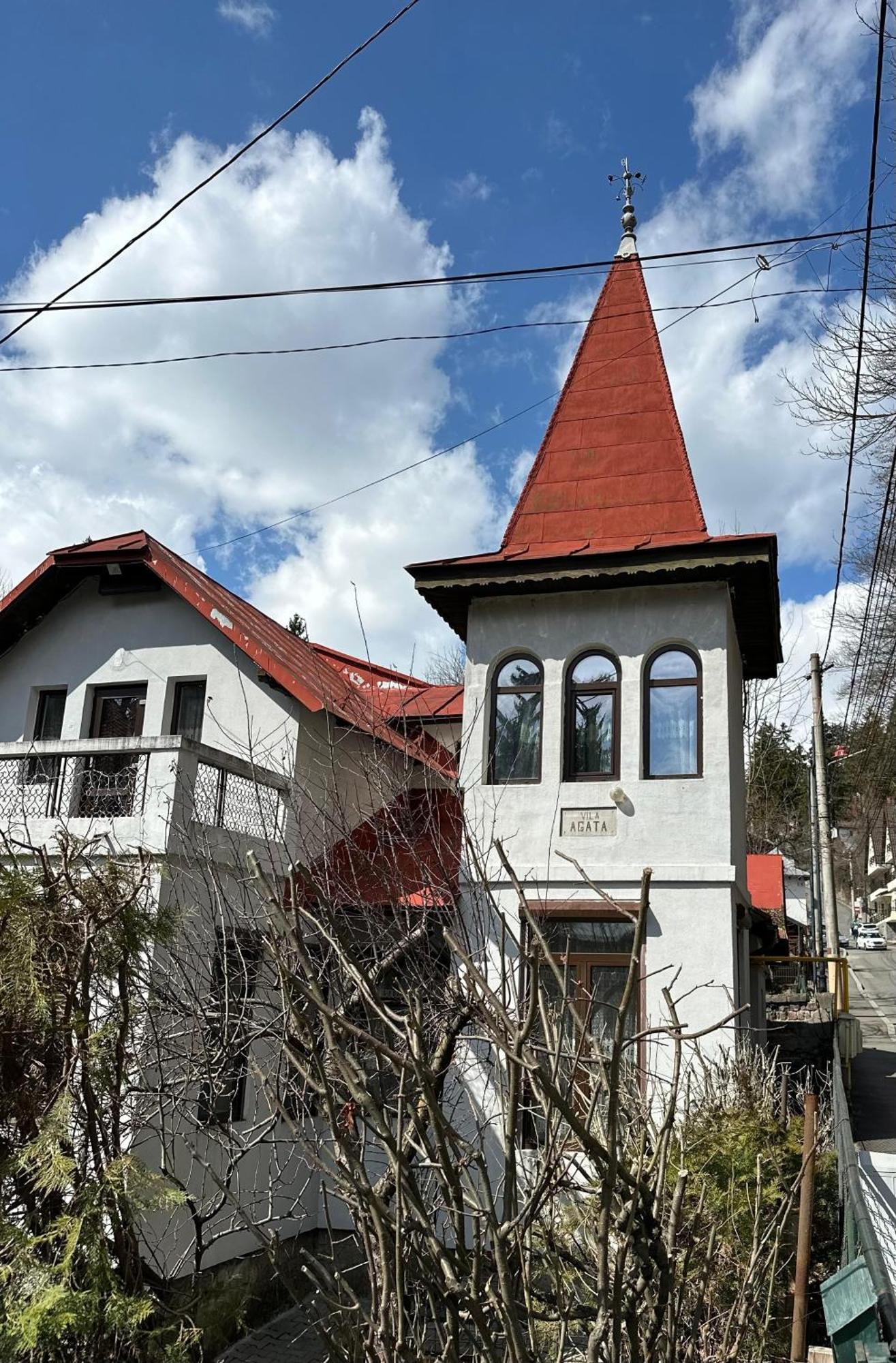 Vila Agata Σινάια Εξωτερικό φωτογραφία