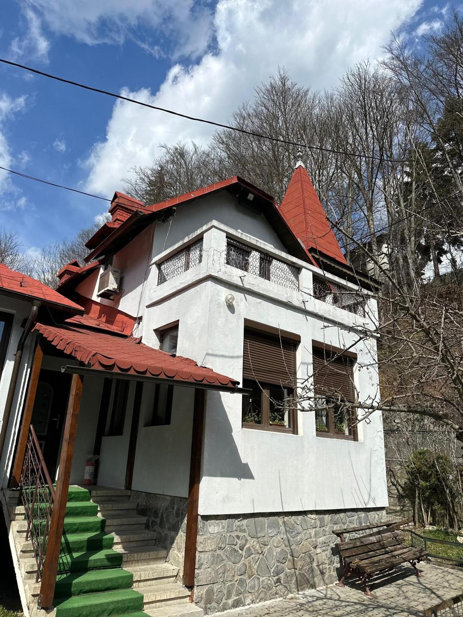 Vila Agata Σινάια Εξωτερικό φωτογραφία